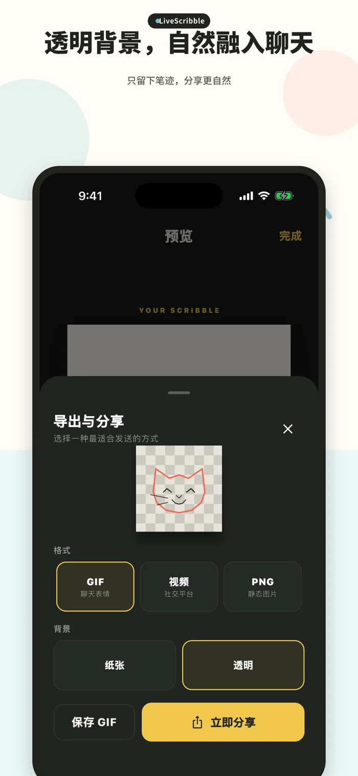 LiveScribble export preview