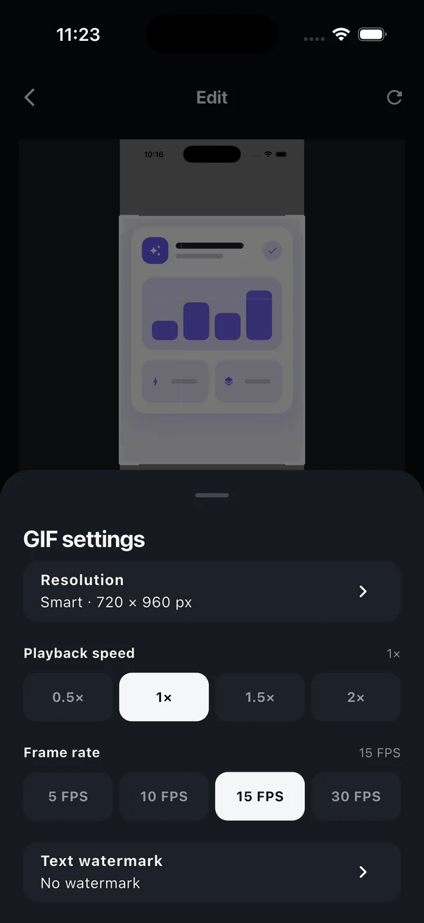 ScreenGIF resolution, playback speed, frame rate, and watermark settings